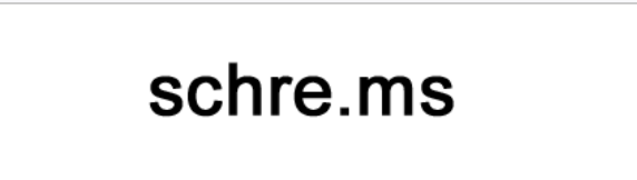 personal logo example - max schrems