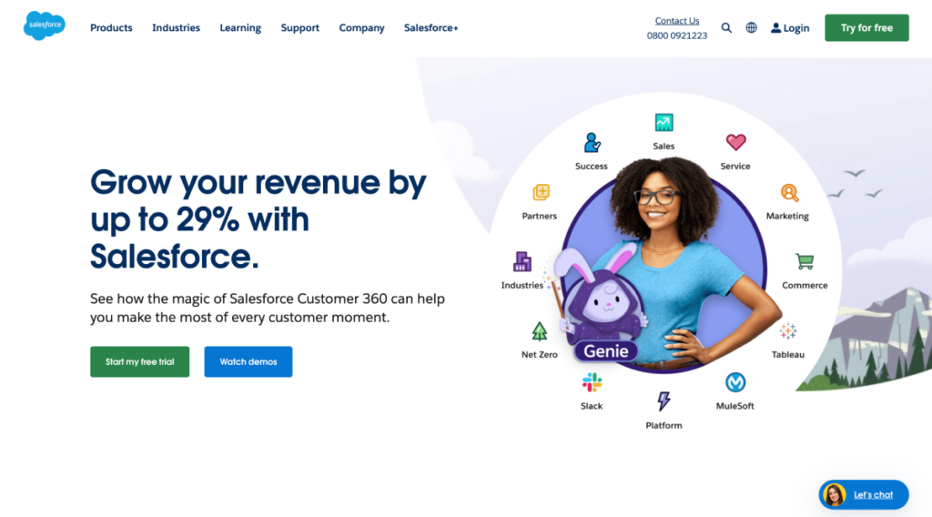 customer tool salesforce