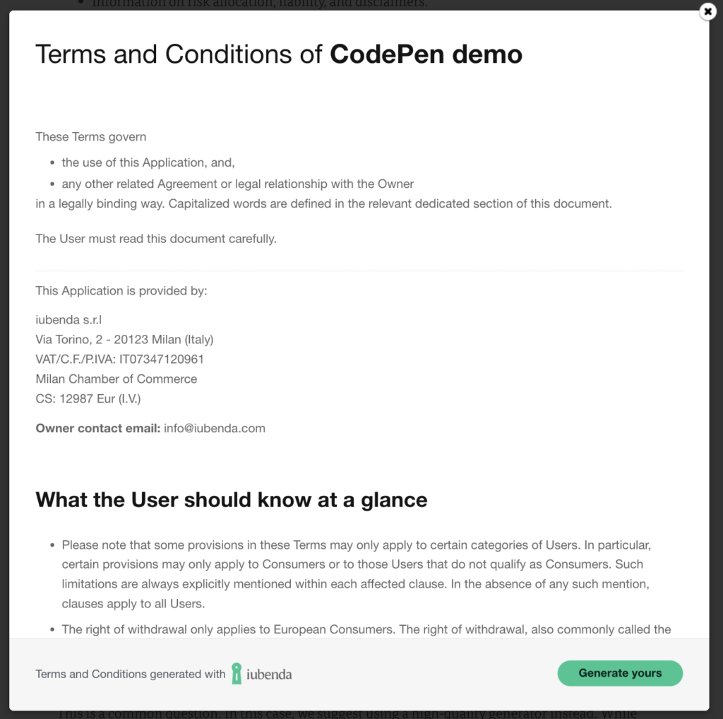 terms and conditions template