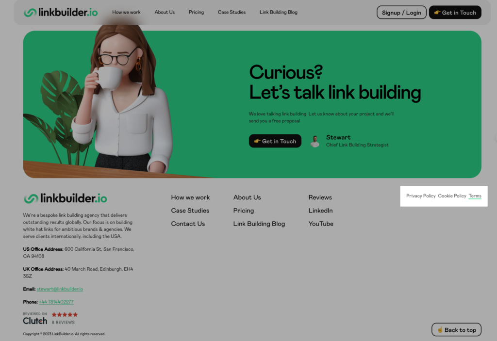 terms and conditions example from the linkbuilder website