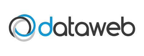 Dataweb Service S.a.s di Marco Morbio e C